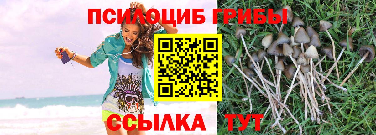 Галлюциногенные грибы GOLDEN TEACHER Туймазы